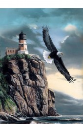 An Eagle over the Sea