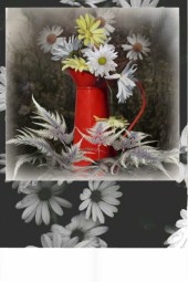 Daisies in a red jug