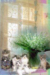 Feline family