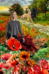 Poppy fields