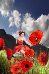 A girl on a poppy field