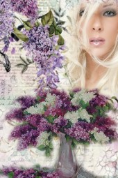 The lilac