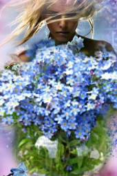 Forget-me-nots