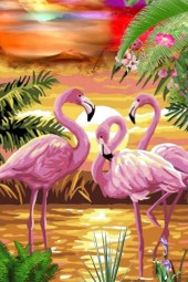 The world of flamingoes