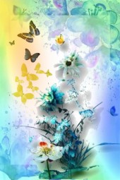 Blue and yellow butterflies
