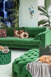 A living room in green 2