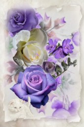 Purple roses