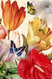 Tulips and butterflies