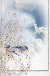 Birds in winter 2