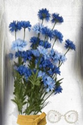 Field cornflowers