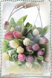 Tulip basket