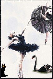 Black swan 3