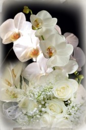 Bride&#039;s bouquet