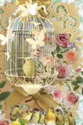 A bird in the cage