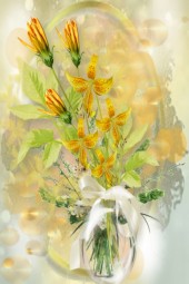 Golden lilies 3