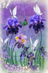 Purple irises