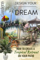 Design your dream