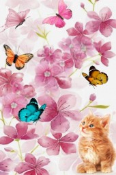 A kitten and butterflies