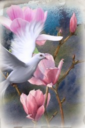 The dove and flowers
