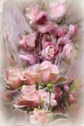 Roses in pink