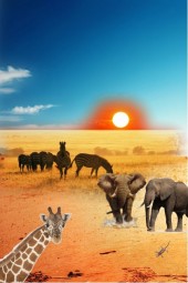 African fauna 2