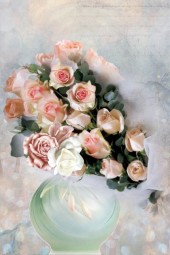 Pink roses 222