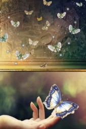 Picture of butterflies