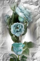 Greenish blue roses 2