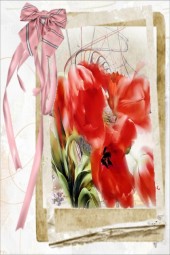 Scarlet flowers 2