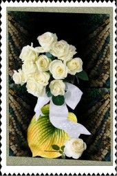 White roses 221