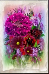 Shades of magenta 2