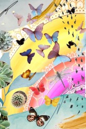 Butterflies 2