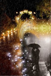 Night rain