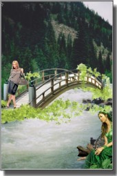 Wooden bridge 23