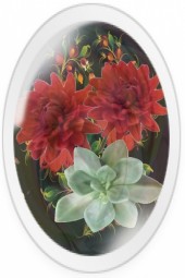 Red flowers 45