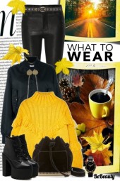 nr 330 - What to Wear in Autumn Day