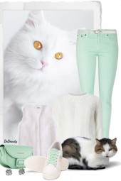 nr 6471 - Cute cats