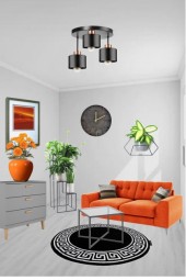 nr 6946 - Living room