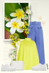 nr 11007 - Spring