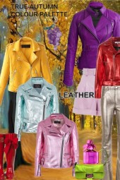 CS - 341 - leather