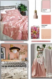 Pink Palette. for room