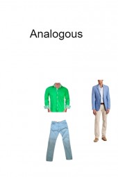 Analogous