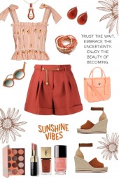 #294 Rust Shorts And Peach Top