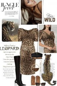 My Leopard Inspiration