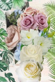 All colours of roses