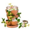 декор - Plantas - 