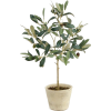 064 - 植物 - 