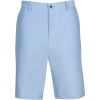 10" STRETCH SHORT - Shorts - 