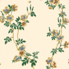 1920s bradbury twining rose wallpaper - イラスト - 