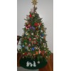 2020 Christmas Tree - Plants - 
